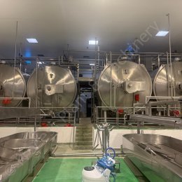 8596 Cheese Plant 18