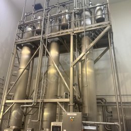 8596 Cheese Plant 27